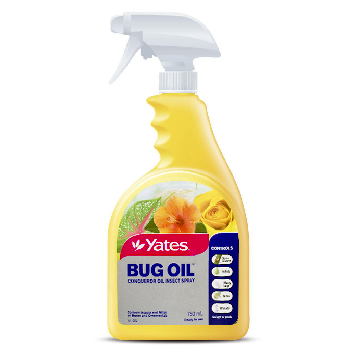 Yates Bug Oil (Conqueror Oil) Insect Spray Ready to Use