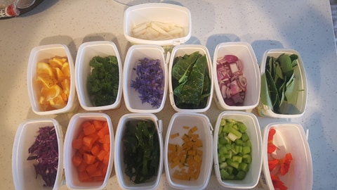 Vege taste testing...... One hilarious afternoon!!!