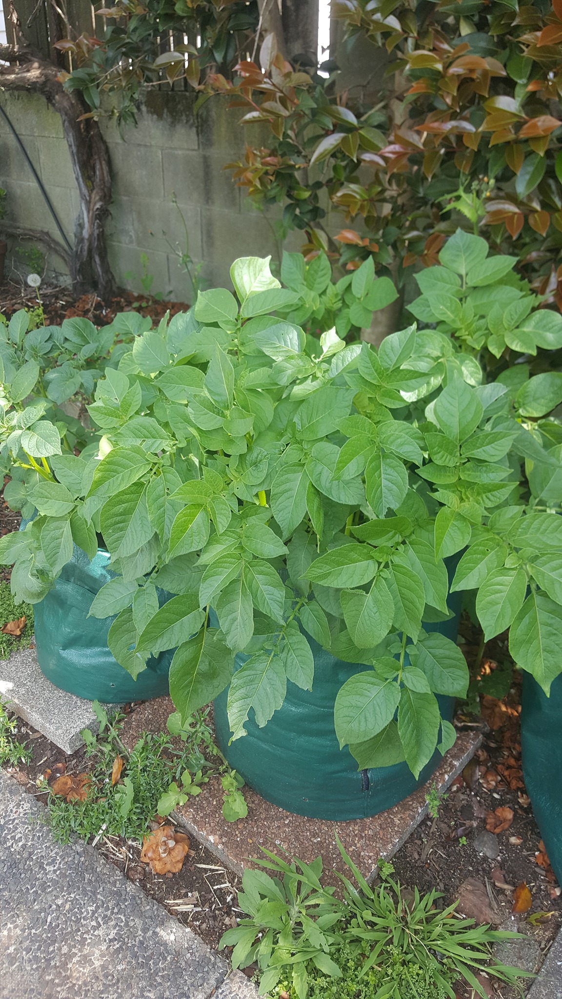 Lots of catching up to do 