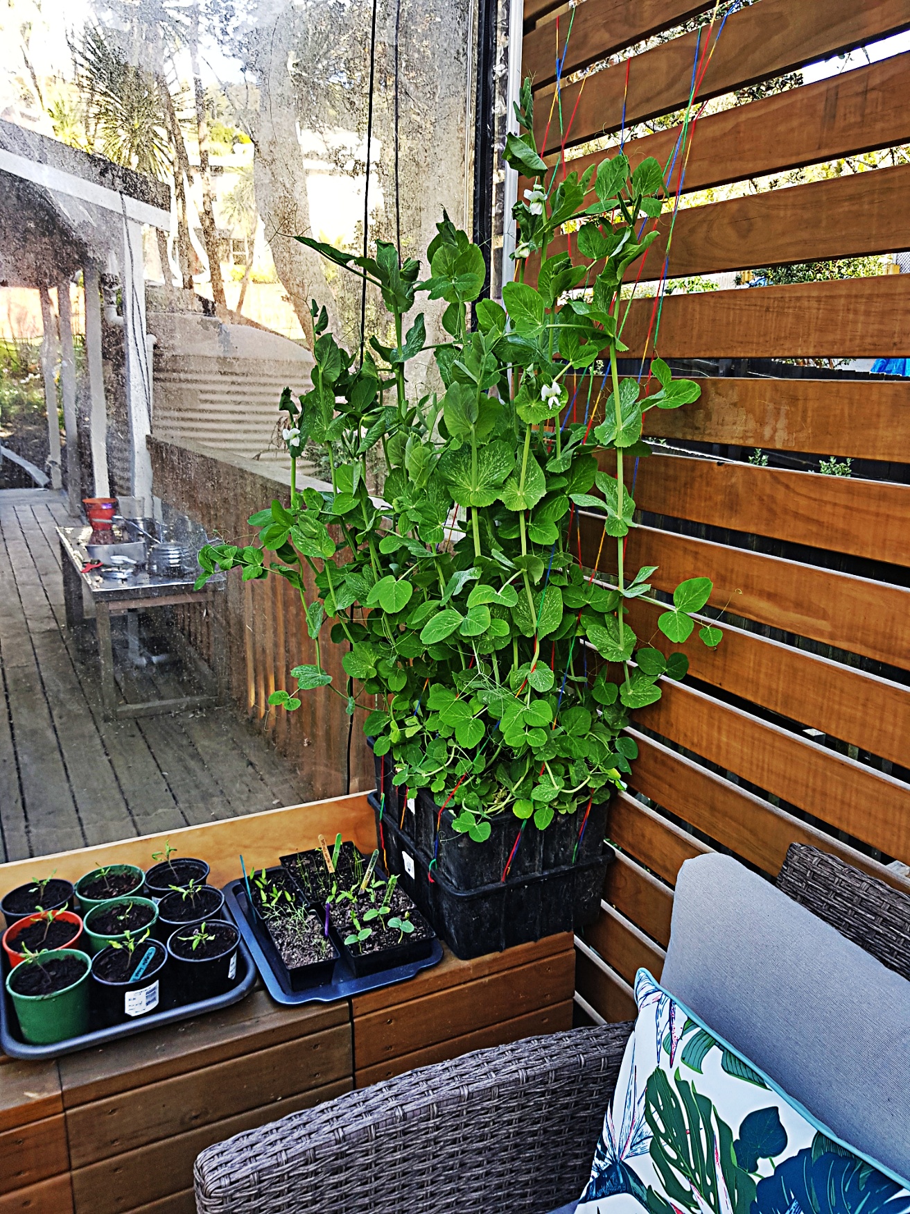 No space at our place