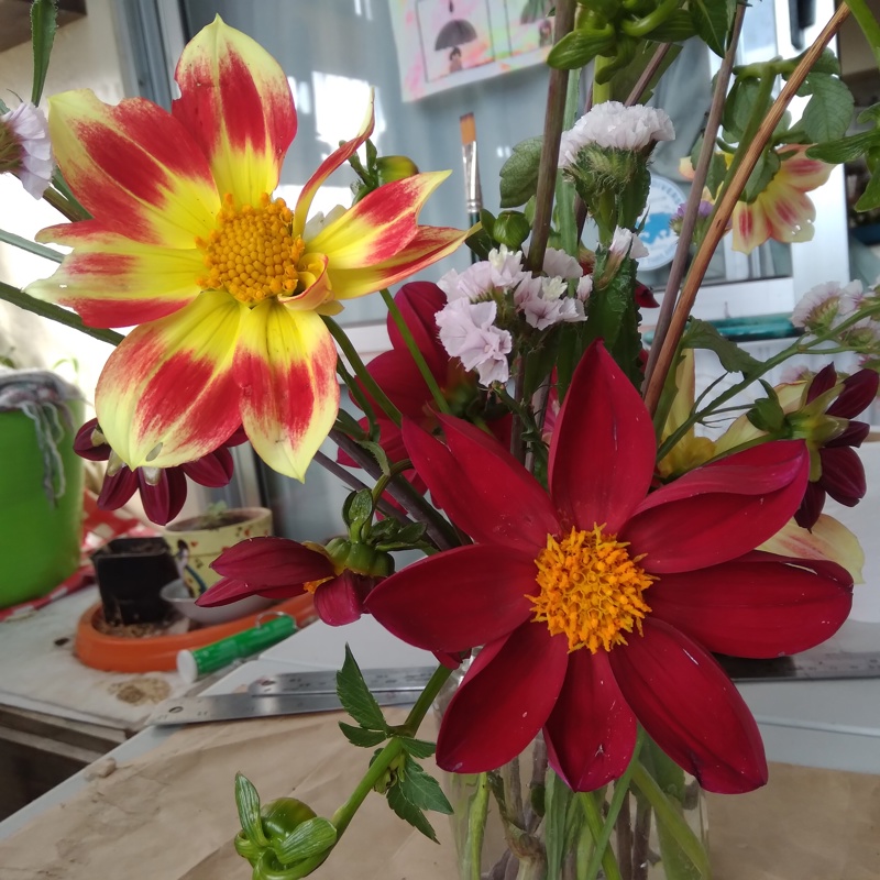 In sickness and in health...