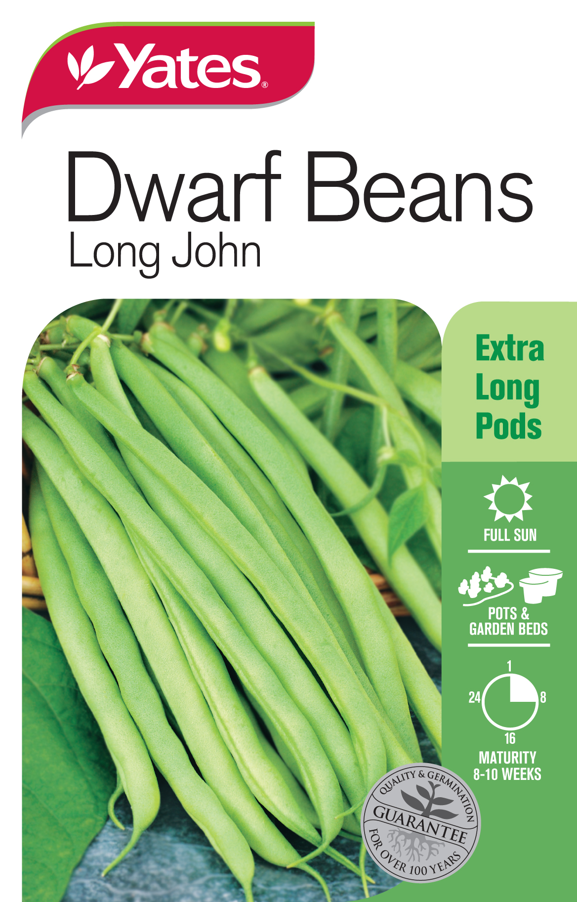 Dwarf Beans