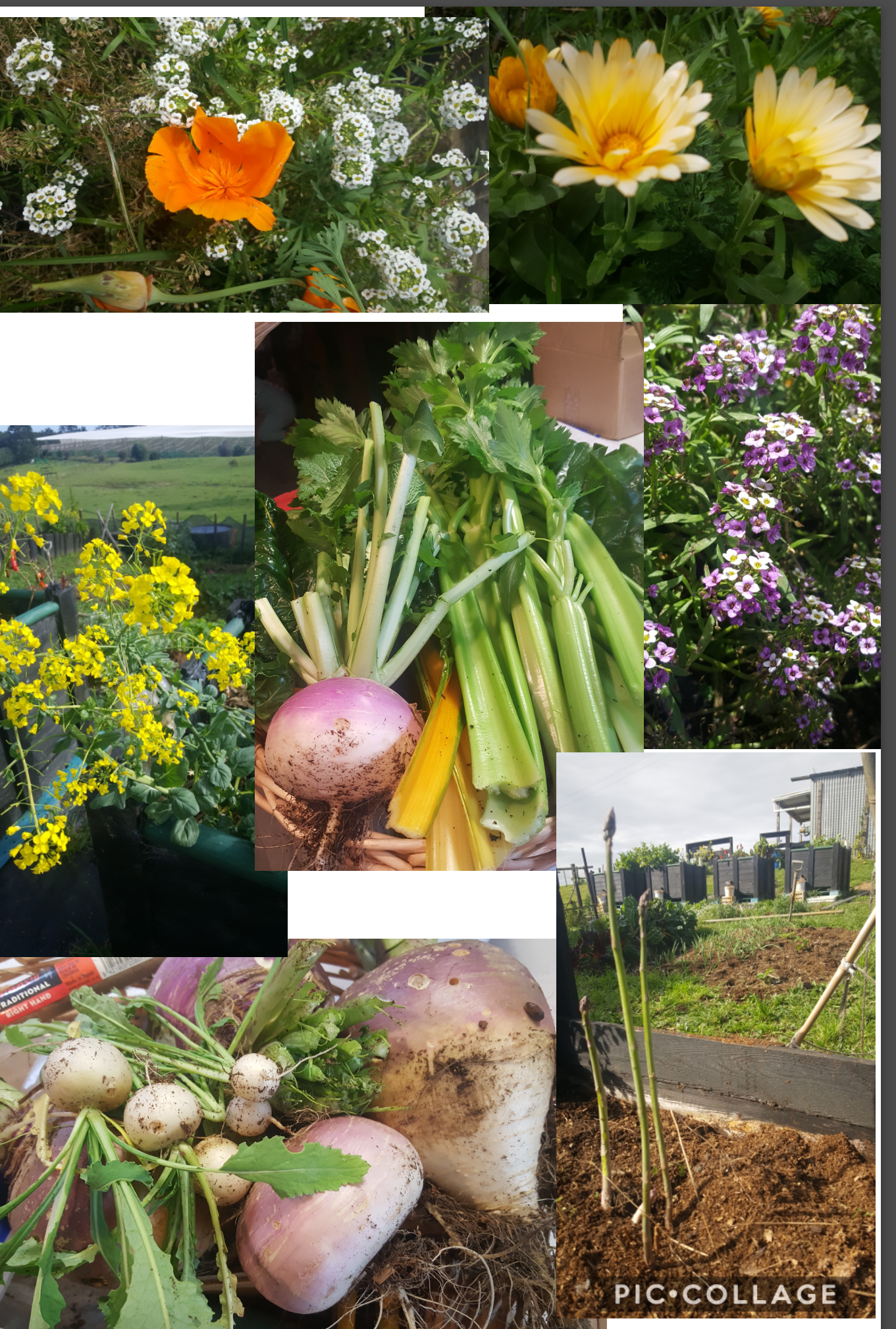 Despite neglect - there's still a lot happening