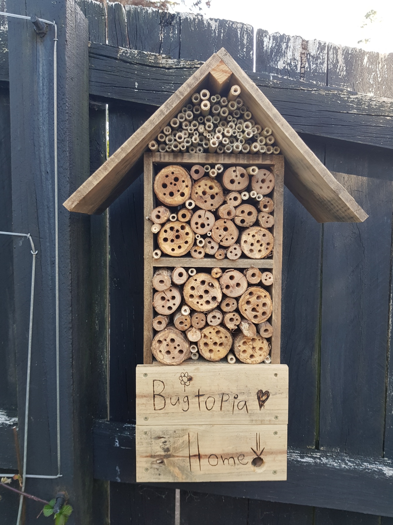 Fabulous or Fadulous?