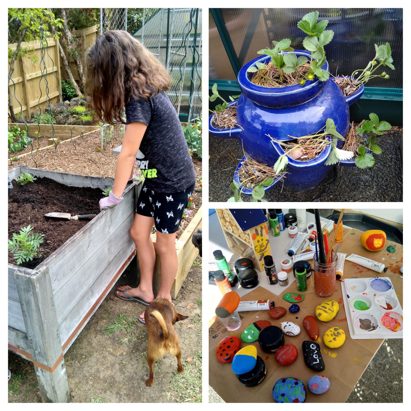 Pay It Forward & Back Again...?