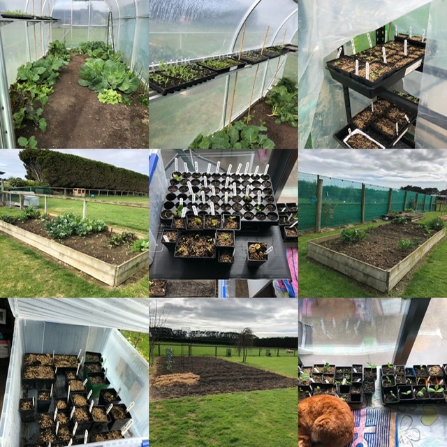 My favourite time of the year!