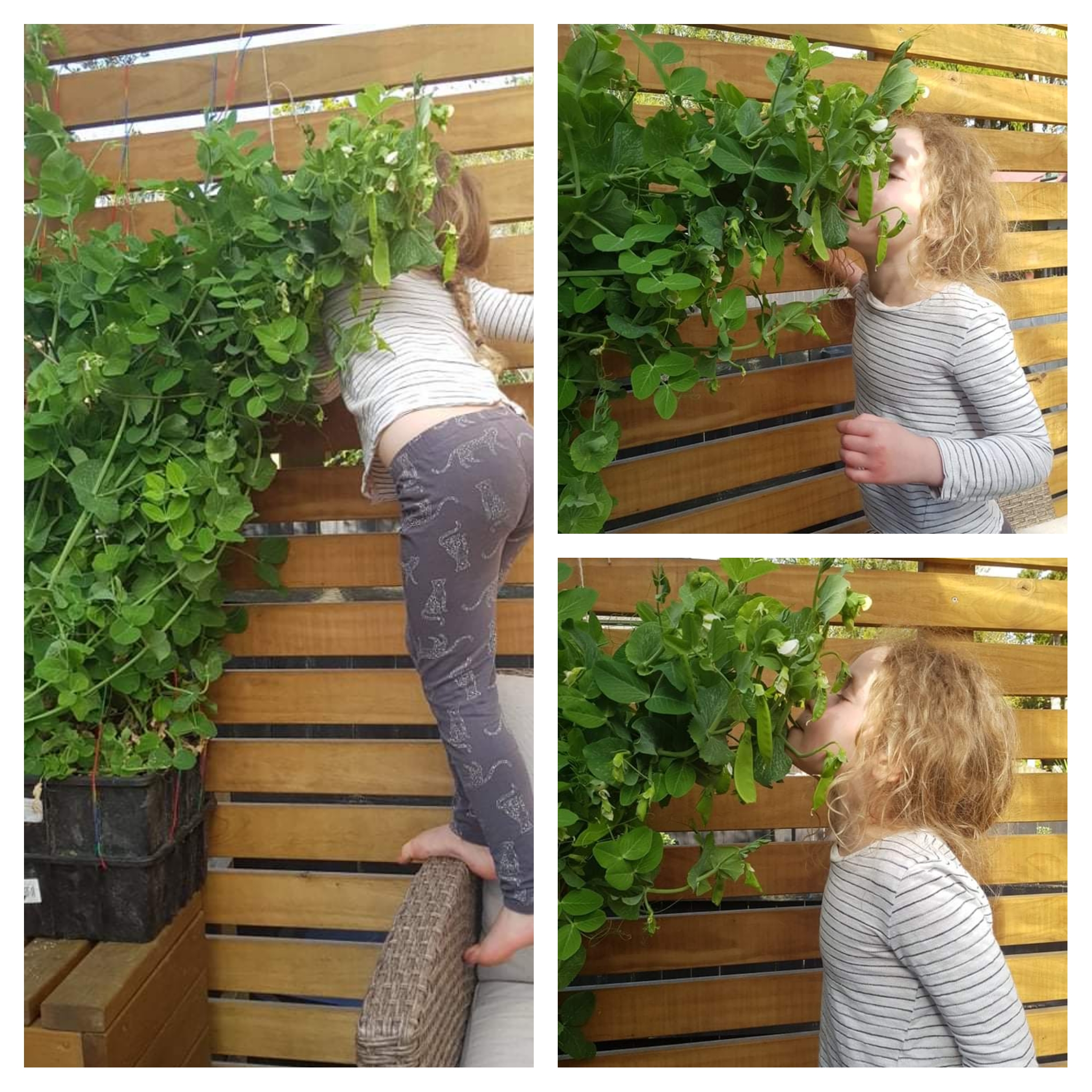 The Most Terrifying Creature