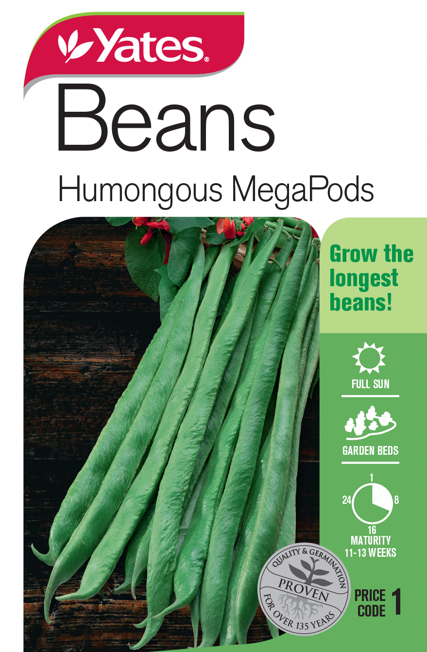 Beans 'Humongous MegaPods'