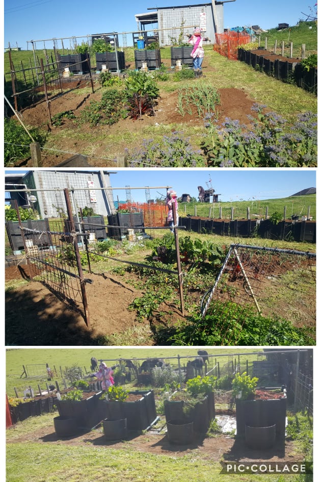 The garden is now Spring ready!