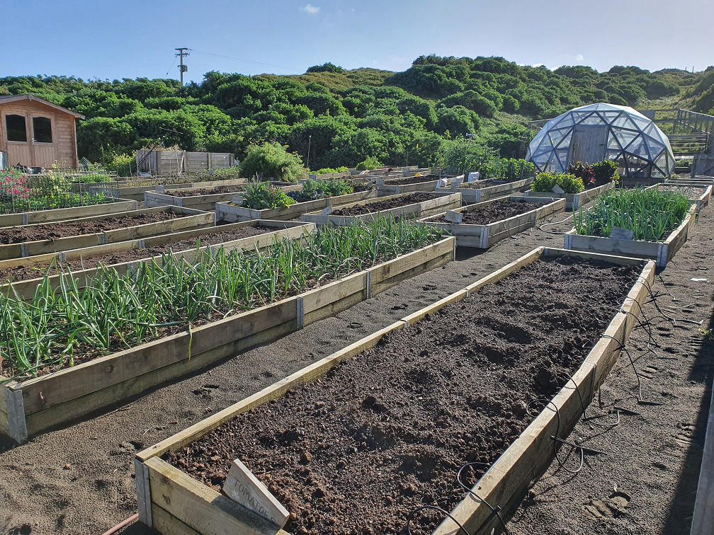 Sharing the Garden Love