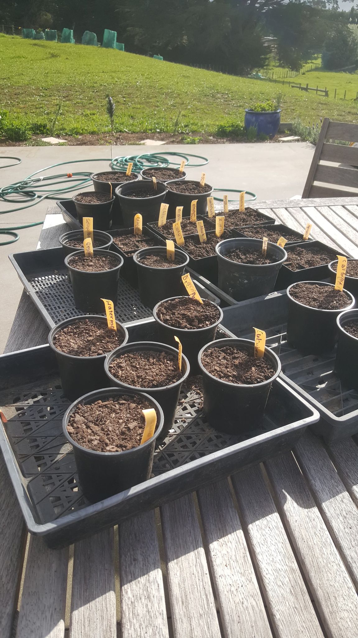 Drum roll please.......