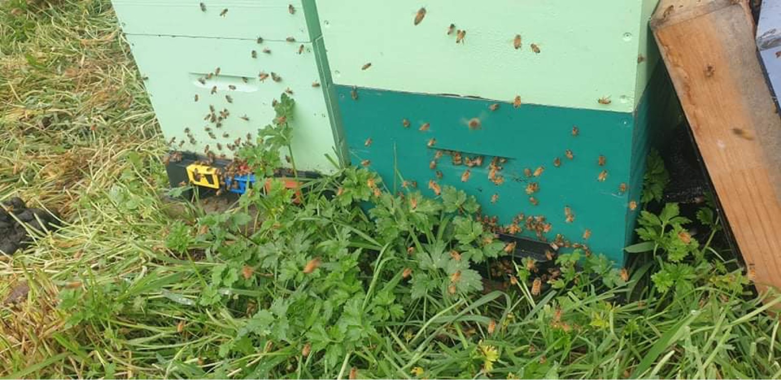 Guess what’s coming