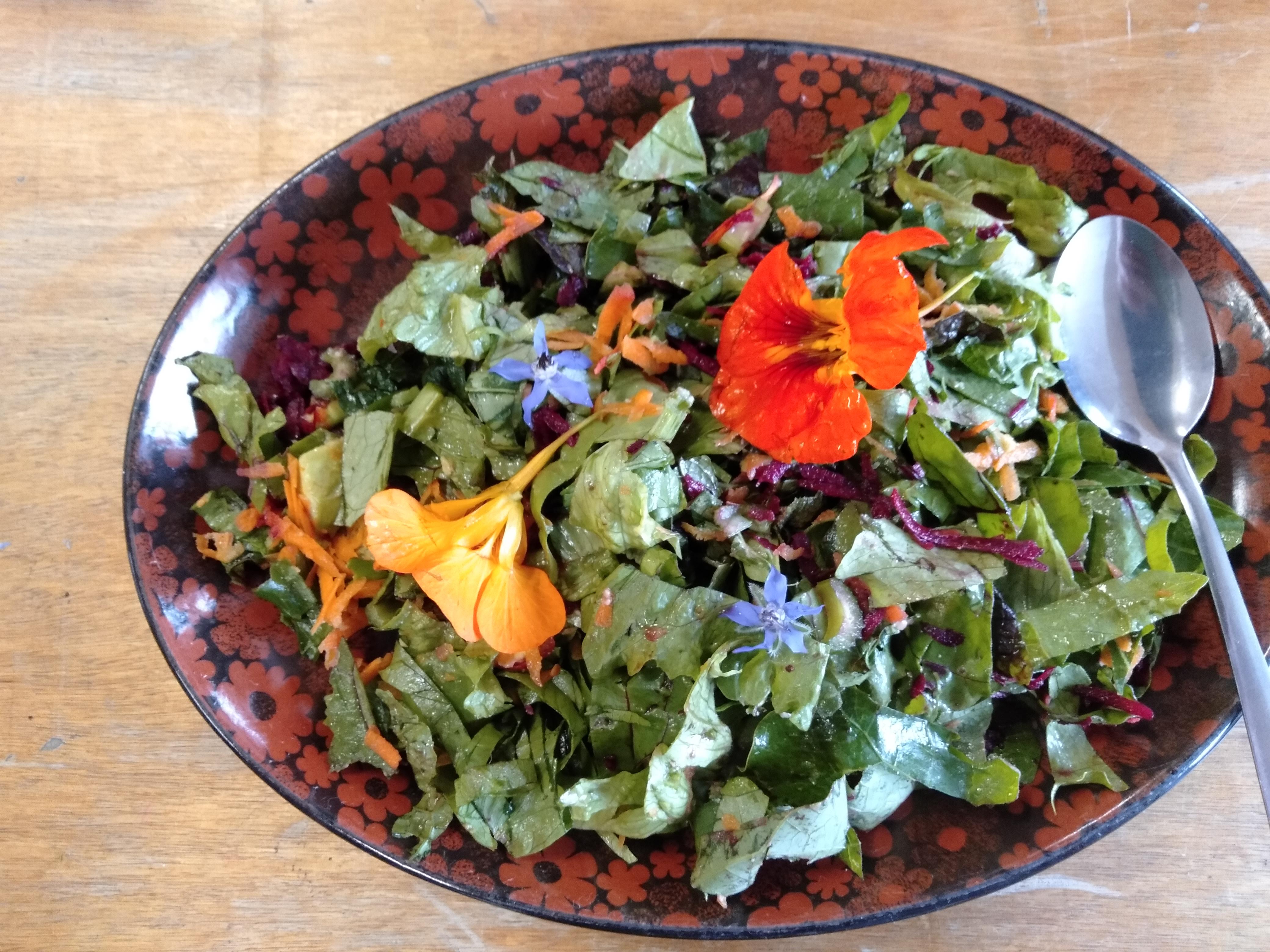 Salad of the Imagination