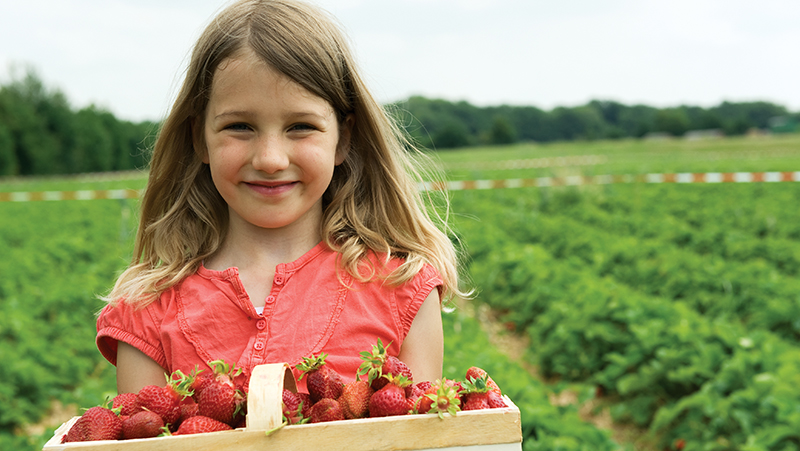 How To Grow Sweet, Juicy And Flavourful Strawberries | Yates