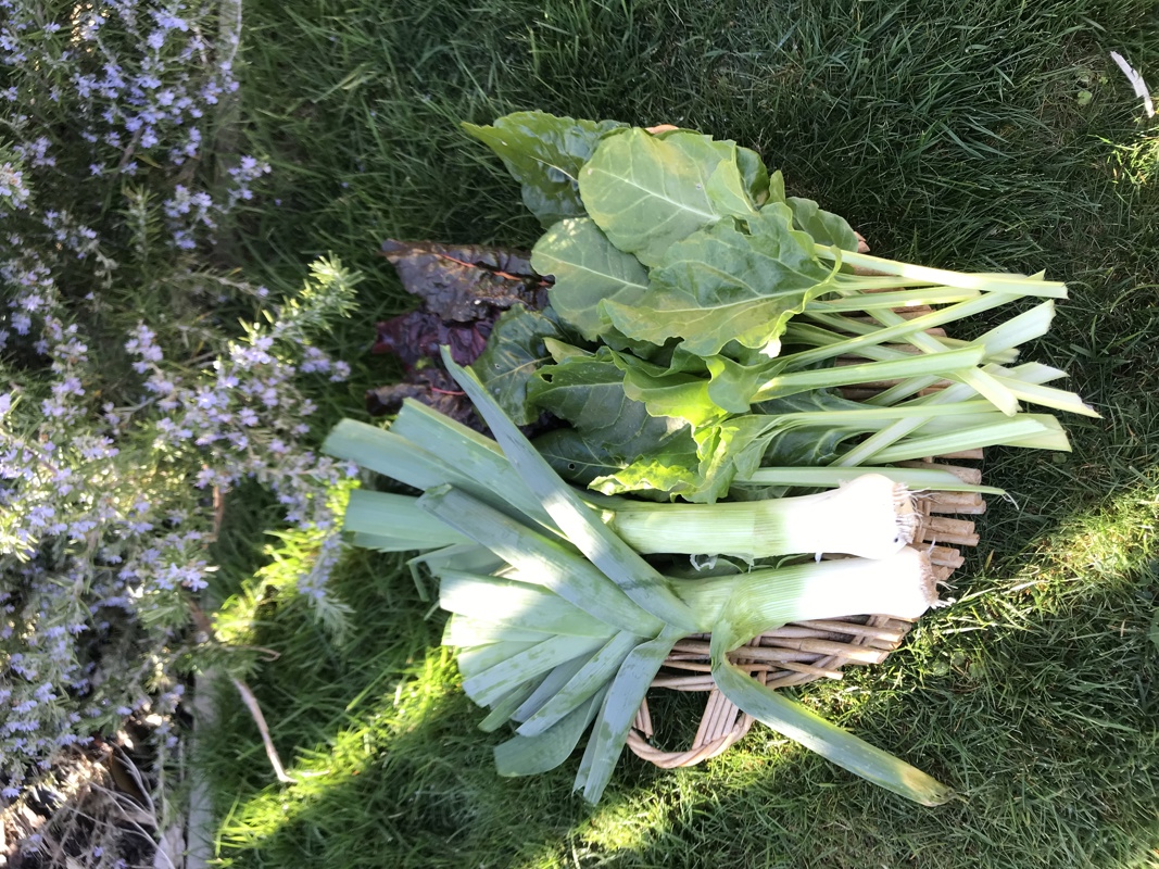 Sharing vegetables