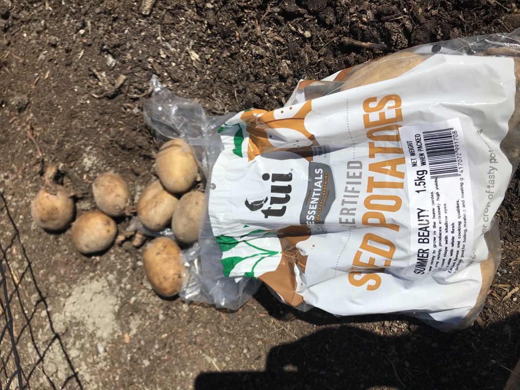 Tui Potato Grow Bag
