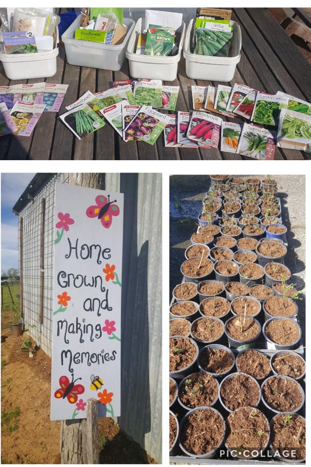 Seed sorting has finally been ticked off the list!!