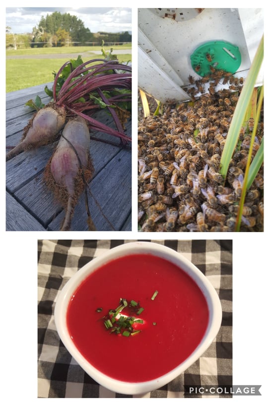 Beetroot and bees