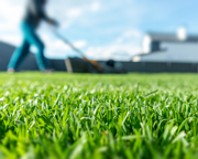 How to maintain your lawn (and freshen it up with seed)